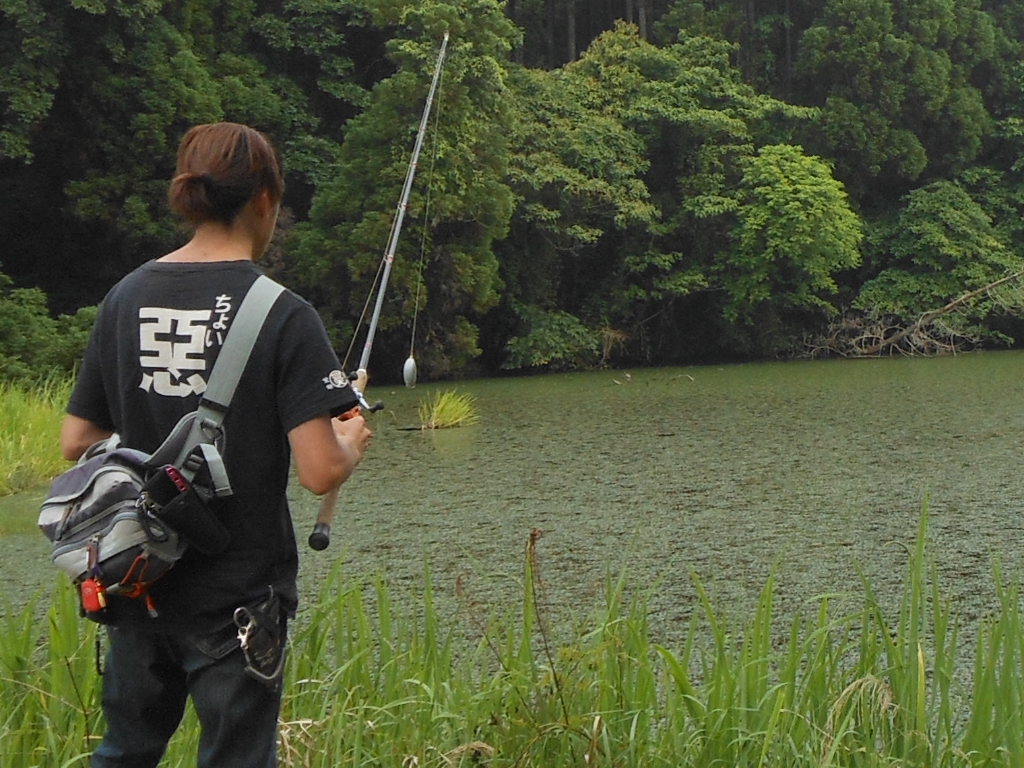 雷魚は裏切らない ルナクルのlunaticな日常